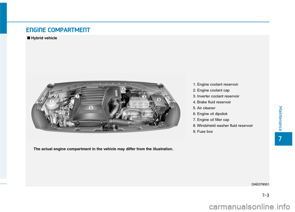 Hyundai Ioniq Hybrid 2020  Owners Manual 7-3
7
Maintenance
E EN
NG
GI
IN
NE
E 
 C
CO
OM
MP
PA
AR
RT
TM
ME
EN
NT
T 
 
OAE078001
1. Engine coolant reservoir
2. Engine coolant cap
3. Inverter coolant reservoir 
4. Brake fluid reservoir
5. Air c