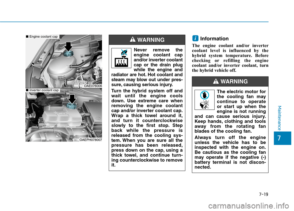 Hyundai Ioniq Hybrid 2020 Owners Guide 7-19
7
Maintenance
Information
The engine coolant and/or inverter
coolant level is influenced by the
hybrid system temperature. Before
checking or refilling the engine
coolant and/or inverter coolant,