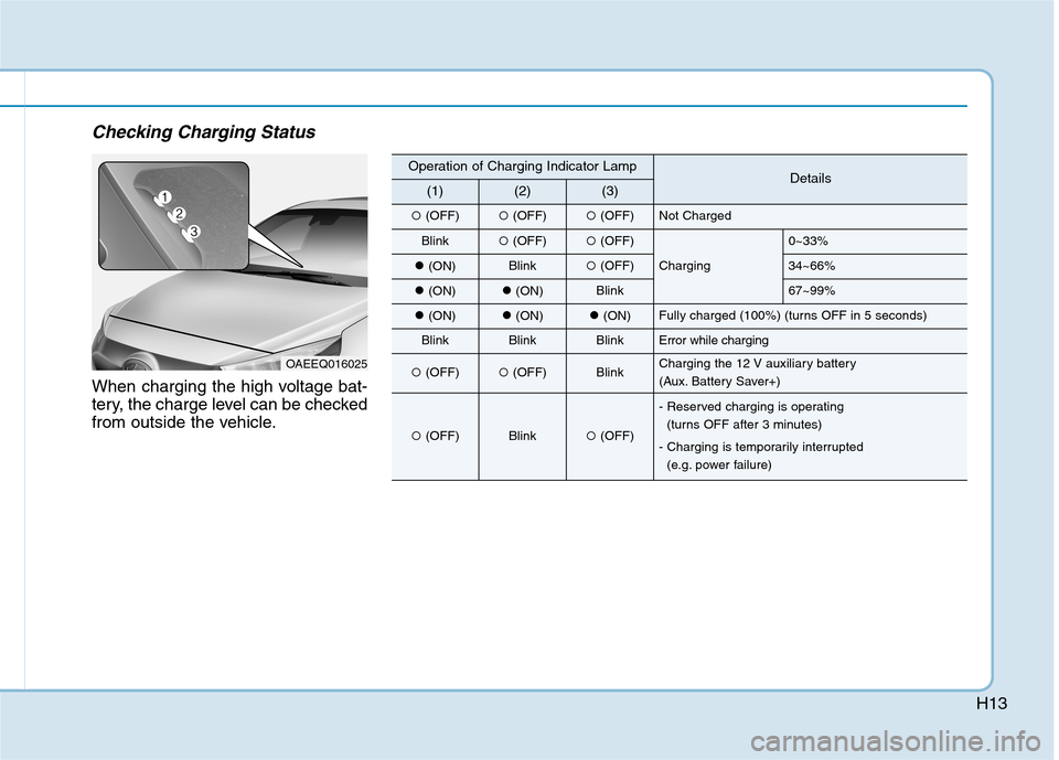 Hyundai Ioniq Hybrid 2020  Owners Manual H13
Checking Charging Status
When charging the high voltage bat-
tery, the charge level can be checked
from outside the vehicle.
OAEEQ016025
Operation of Charging Indicator LampDetails(1)(2)(3)
(OFF)