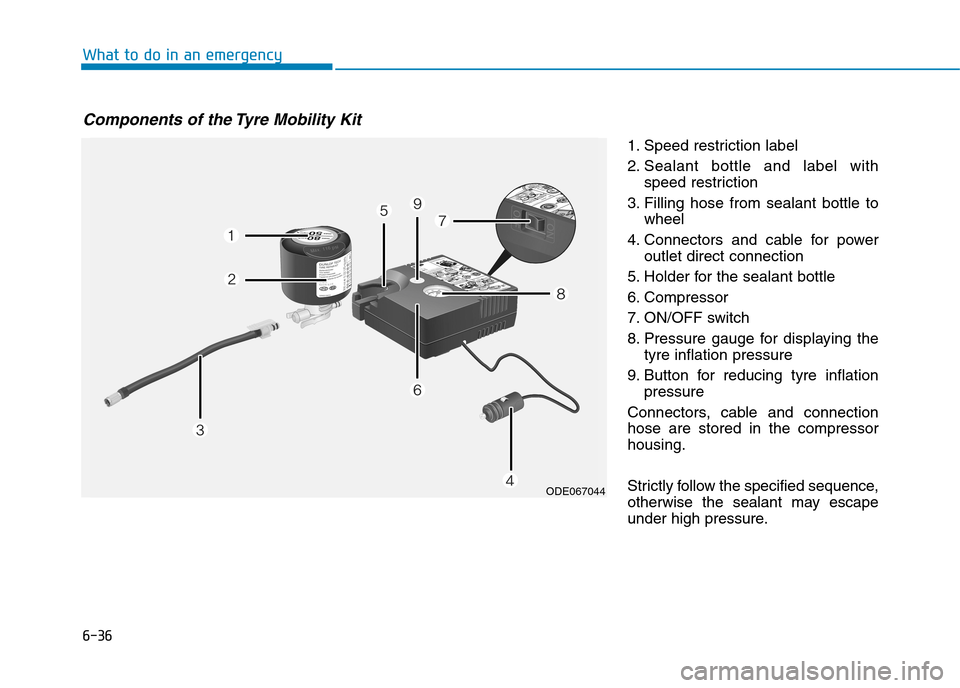 Hyundai Ioniq Hybrid 2020 Owners Manual - RHD (UK, Australia) 6-36
1. Speed restriction label
2. Sealant bottle and label with
speed restriction
3. Filling hose from sealant bottle to
wheel
4. Connectors and cable for power
outlet direct connection
5. Holder for Hyundai Ioniq Hybrid 2020 Owners Manual - RHD (UK, Australia) 6-36
1. Speed restriction label
2. Sealant bottle and label with
speed restriction
3. Filling hose from sealant bottle to
wheel
4. Connectors and cable for power
outlet direct connection
5. Holder for