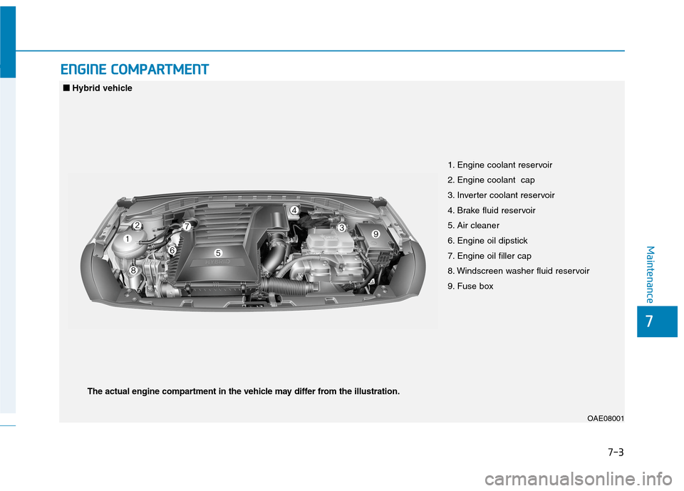 Hyundai Ioniq Hybrid 2020 Owners Manual - RHD (UK, Australia) 7-3
7
Maintenance
E EN
NG
GI
IN
NE
E
C
CO
OM
MP
PA
AR
RT
TM
ME
EN
NT
T
1. Engine coolant reservoir
2. Engine coolant cap
3. Inverter coolant reservoir
4. Brake fluid reservoir
5. Air cleaner
6. Hyundai Ioniq Hybrid 2020 Owners Manual - RHD (UK, Australia) 7-3
7
Maintenance
E EN
NG
GI
IN
NE
E
C
CO
OM
MP
PA
AR
RT
TM
ME
EN
NT
T
1. Engine coolant reservoir
2. Engine coolant cap
3. Inverter coolant reservoir
4. Brake fluid reservoir
5. Air cleaner
6.