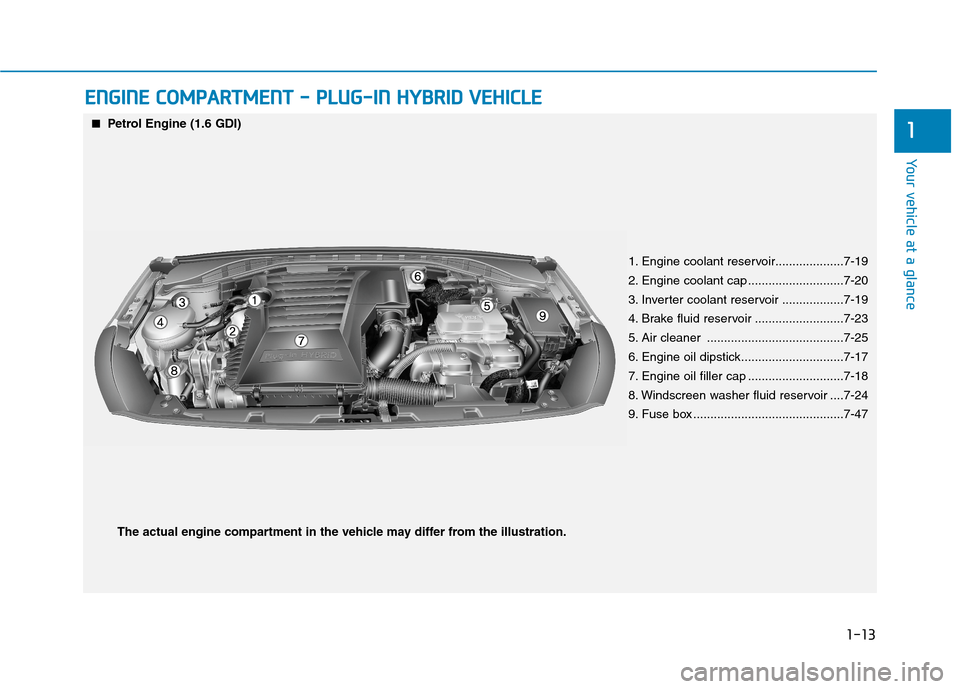 Hyundai Ioniq Hybrid 2020 - RHD (UK, Australia) Manual Online 1-13
Your vehicle at a glance
1
E EN
NG
GI
IN
NE
E
C
CO
OM
MP
PA
AR
RT
TM
ME
EN
NT
T
-
-
P
PL
LU
UG
G-
-I
IN
N
H
HY
YB
BR
RI
ID
D
V
VE
EH
HI
IC
CL
LE
E
■ ■Petrol Engine (1.6 GDI)
1. Engi Hyundai Ioniq Hybrid 2020 - RHD (UK, Australia) Manual Online 1-13
Your vehicle at a glance
1
E EN
NG
GI
IN
NE
E
C
CO
OM
MP
PA
AR
RT
TM
ME
EN
NT
T
-
-
P
PL
LU
UG
G-
-I
IN
N
H
HY
YB
BR
RI
ID
D
V
VE
EH
HI
IC
CL
LE
E
■ ■Petrol Engine (1.6 GDI)
1. Engi