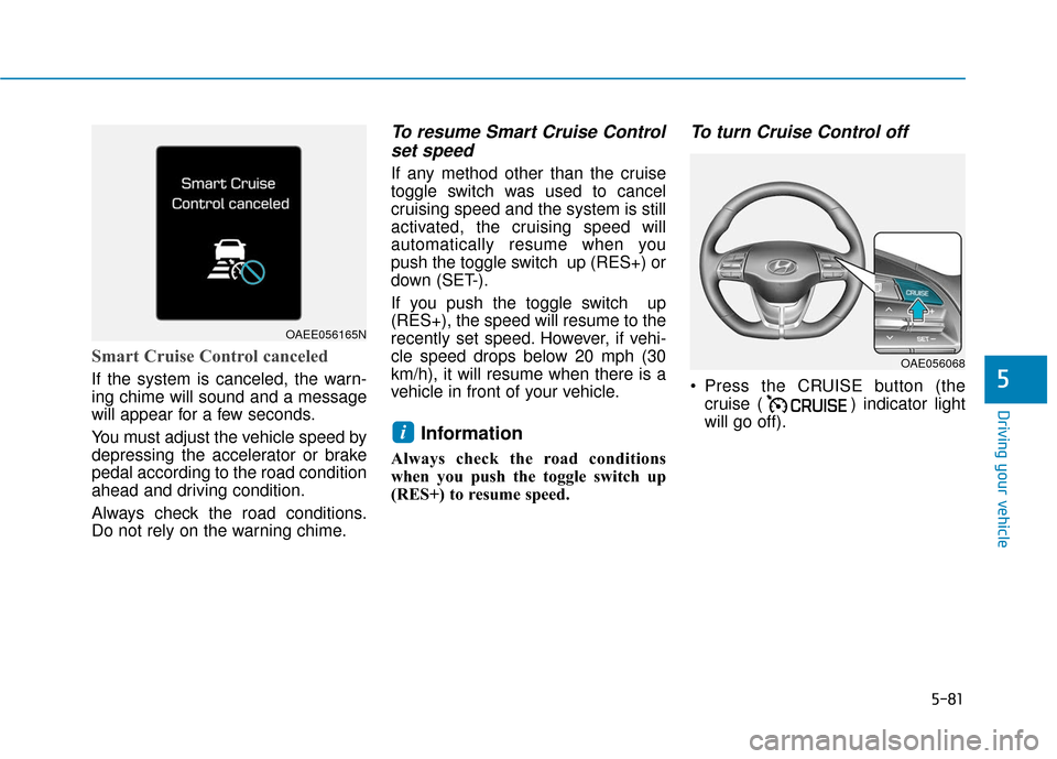 Hyundai Ioniq Hybrid 2019  Owners Manual 5-81
Driving your vehicle
5
Smart Cruise Control canceled
If the system is canceled, the warn-
ing chime will sound and a message
will appear for a few seconds.
You must adjust the vehicle speed by
de