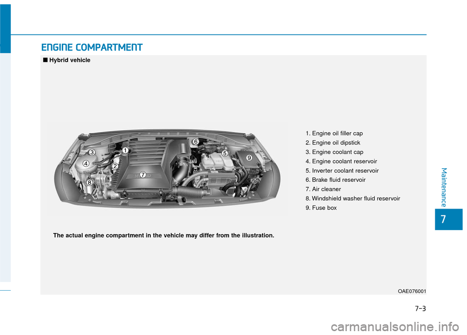 Hyundai Ioniq Hybrid 2019  Owners Manual 7-3
7
Maintenance
E
EN
N G
GI
IN
N E
E 
 C
C O
O M
M P
PA
A R
RT
TM
M E
EN
N T
T 
 
OAE076001
1. Engine oil filler cap
2. Engine oil dipstick
3. Engine coolant cap
4. Engine coolant reservoir
5. Inver