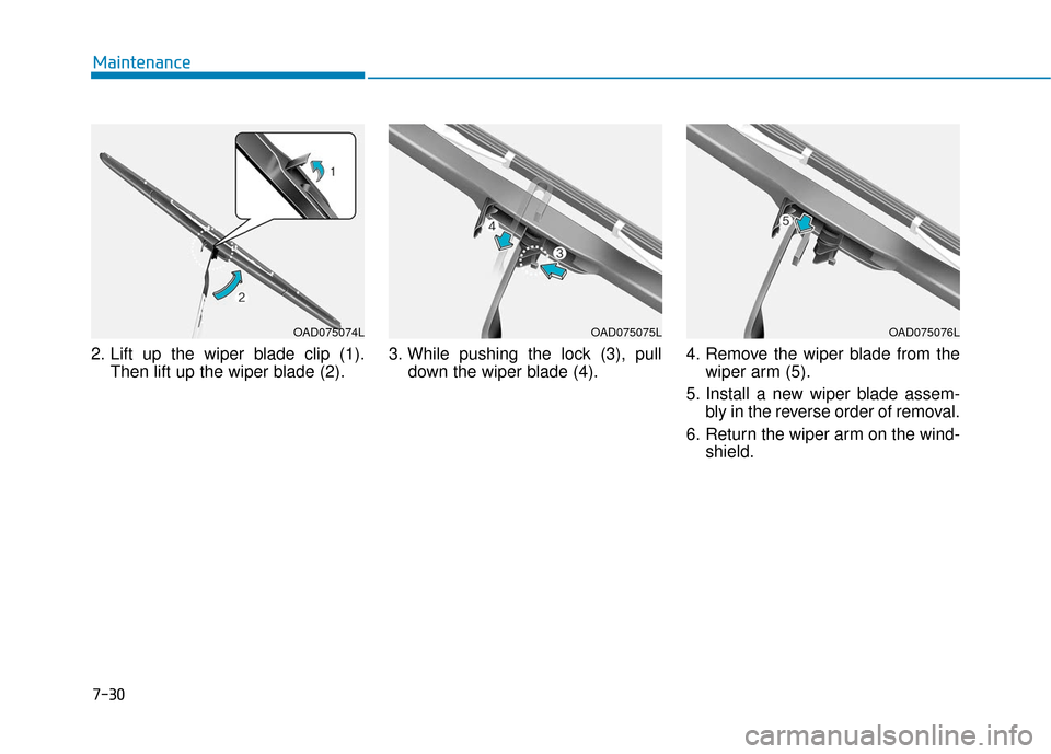 Hyundai Ioniq Hybrid 2019  Owners Manual 7-30
Maintenance
2. Lift up the wiper blade clip (1). Then lift up the wiper blade (2). 3. While pushing the lock (3), pull
down the wiper blade (4). 4. Remove the wiper blade from the
wiper arm (5).
