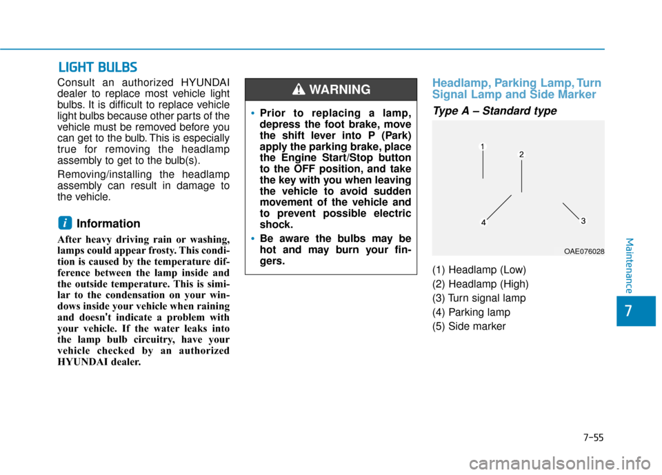 Hyundai Ioniq Hybrid 2019  Owners Manual 7-55
7
Maintenance
L
LI
IG
G H
H T
T 
 B
B U
U L
LB
B S
S
Consult an authorized HYUNDAI
dealer to replace most vehicle light
bulbs. It is difficult to replace vehicle
light bulbs because other parts o