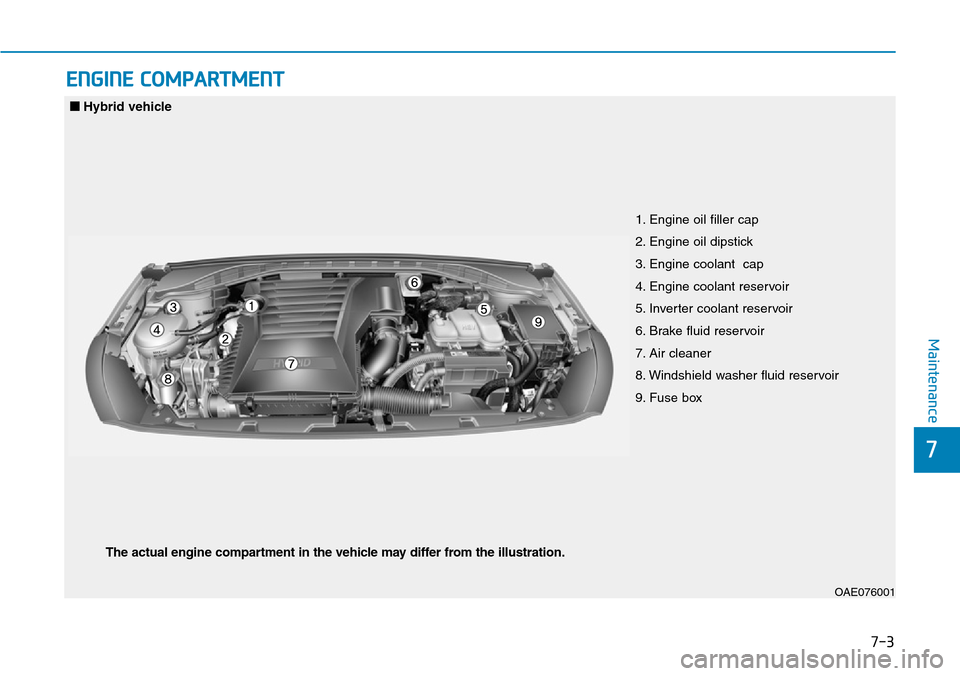 Hyundai Ioniq Hybrid 2018 Owners Guide 7-3
7
Maintenance
ENGINE COMPARTMENT 
1. Engine oil filler cap
2. Engine oil dipstick
3. Engine coolant  cap
4. Engine coolant reservoir
5. Inverter coolant reservoir
6. Brake fluid reservoir
7. Air c