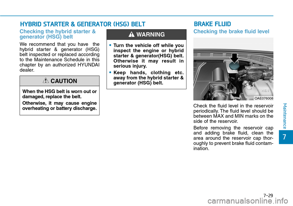 Hyundai Ioniq Hybrid 2018  Owners Manual 7-29
7
Maintenance
HYBRID STARTER & GENERATOR (HSG) BELT
Checking the hybrid starter &
generator (HSG) belt
We recommend that you have  the
hybrid starter & generator (HSG)
belt inspected or replaced 