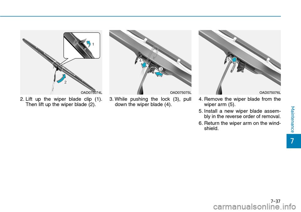 Hyundai Ioniq Hybrid 2018 Owners Manual 7-37
7
Maintenance
2. Lift up the wiper blade clip (1).
Then lift up the wiper blade (2).3. While pushing the lock (3), pull
down the wiper blade (4).4. Remove the wiper blade from the
wiper arm (5).
Hyundai Ioniq Hybrid 2018 Owners Manual 7-37
7
Maintenance
2. Lift up the wiper blade clip (1).
Then lift up the wiper blade (2).3. While pushing the lock (3), pull
down the wiper blade (4).4. Remove the wiper blade from the
wiper arm (5).