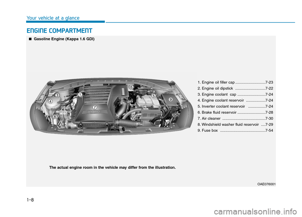 Hyundai Ioniq Hybrid 2017  Owners Manual EENN GGIINN EE  CC OO MM PPAA RRTTMM EENN TT
1-8
Your vehicle at a glance
OAE076001
■■
Gasoline Engine (Kappa 1.6 GDI)
1. Engine oil filler cap ............................7-23 
2. Engine oil dips