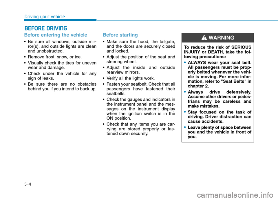 Hyundai Ioniq Hybrid 2017  Owners Manual 5-4
Driving your vehicle
Before entering the vehicle 
• Be sure all windows, outside mir-ror(s), and outside lights are clean 
and unobstructed.
 Remove frost, snow, or ice. 
 Visually check the tir