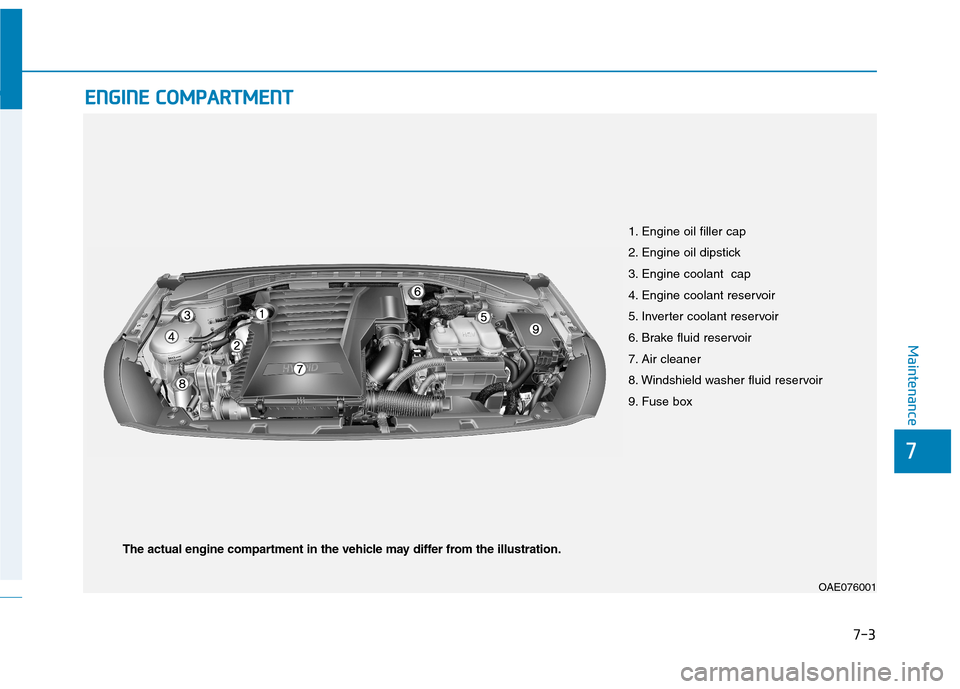 Hyundai Ioniq Hybrid 2017  Owners Manual 7-3
7
Maintenance
EENN GGIINN EE  CC OO MM PPAA RRTTMM EENN TT  
1. Engine oil filler cap 
2. Engine oil dipstick
3. Engine coolant  cap
4. Engine coolant reservoir
5. Inverter coolant reservoir
6. Br