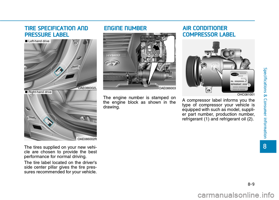 Hyundai Ioniq Hybrid 2017 Owners Guide 8-9
8
Specifications & Consumer information
The tires supplied on your new vehi- 
cle are chosen to provide the best
performance for normal driving. 
The tire label located on the drivers 
side cente