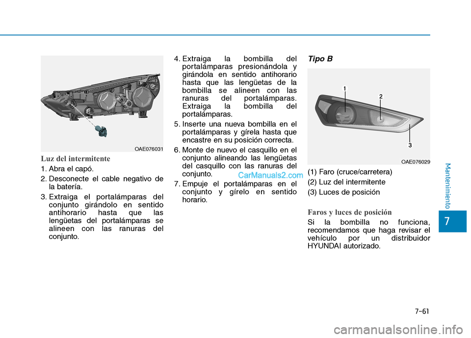 Hyundai Ioniq Hybrid 2017  Manual del propietario (in Spanish) 7-61
7
MantenimientoLuz del intermitente
1. Abra el capó. 
2. Desconecte el cable negativo dela batería.
3. Extraiga el portalámparas del conjunto girándolo en sentido 
antihorario hasta que las
l