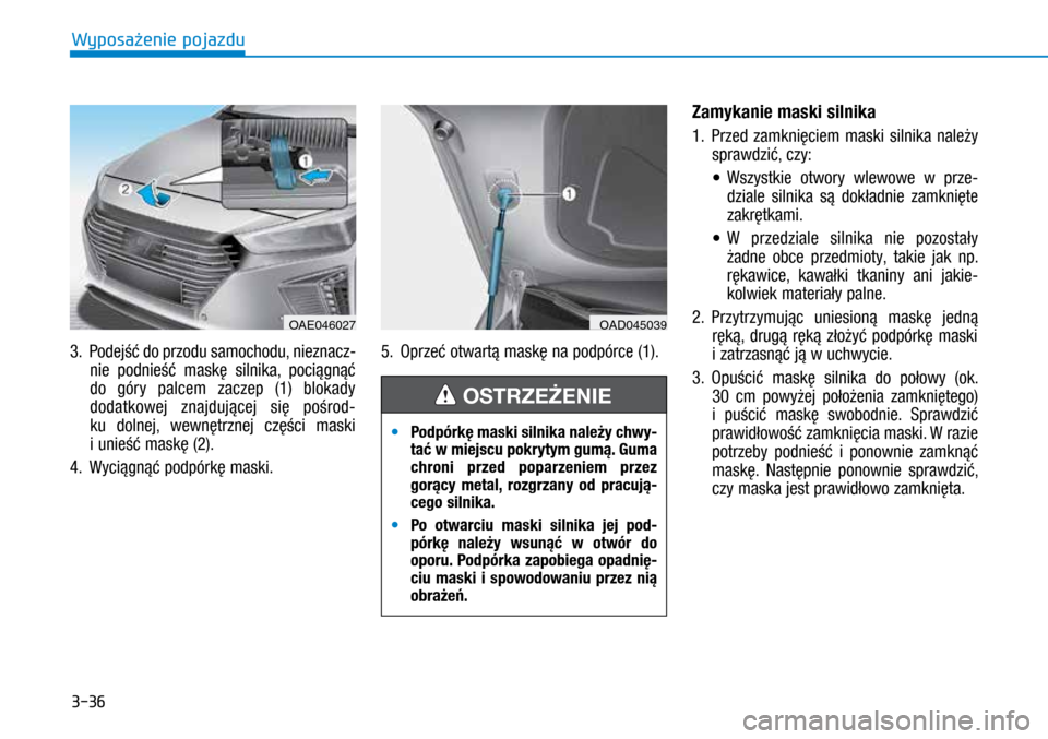 Hyundai Ioniq Hybrid 2017  Instrukcja Obsługi (in Polish) 3-36
3.  Podejść do przodu samochodu, nieznacz-
nie podnieść maskę silnika, pociągnąć 
do góry palcem zaczep (1) blokady 
dodatkowej znajdującej się pośrod-
ku dolnej, wewnętrznej częśc