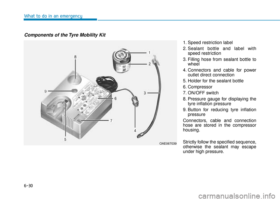 Hyundai Ioniq Plug-in Hybrid 2019  Owners Manual - RHD (UK, Australia) 6-30
What to do in an emergency1. Speed restriction label
2. Sealant bottle and label withspeed restriction
3. Filling hose from sealant bottle to wheel
4. Connectors and cable for power outlet direct