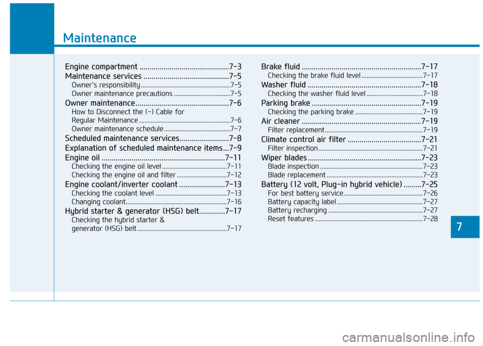 Hyundai Ioniq Plug-in Hybrid 2019  Owners Manual - RHD (UK, Australia) 7
Maintenance
7
Maintenance
Engine compartment .............................................7-3
Maintenance services ...........................................7-5
Owners responsibility .............