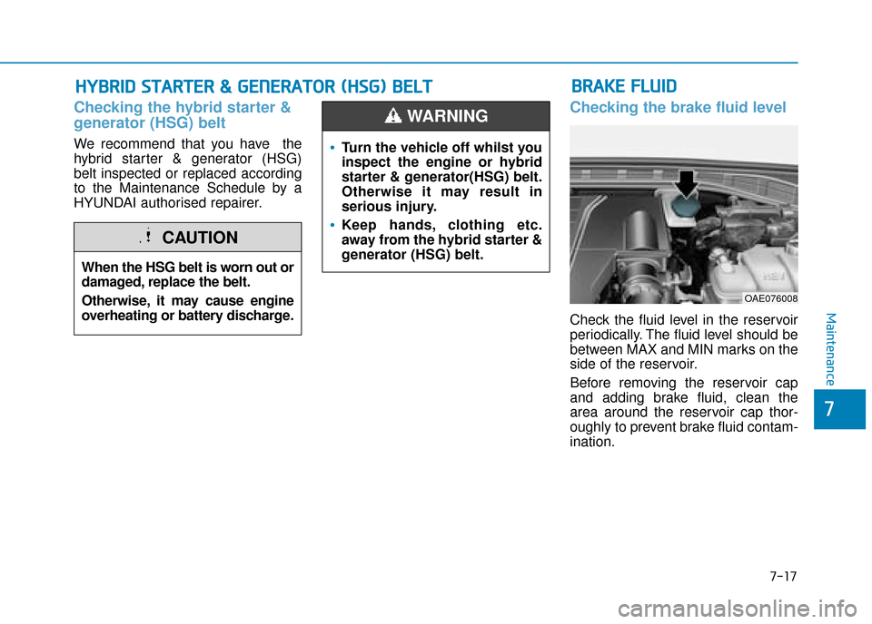 Hyundai Ioniq Plug-in Hybrid 2019 Owners Manual - RHD (UK, Australia) 7-17
7
Maintenance
H
HY
Y B
BR
RI
ID
D
S
S T
T A
A R
RT
TE
ER
R
&
&
G
G E
EN
N E
ER
R A
A T
TO
O R
R
(
( H
H S
SG
G )
)
B
B E
EL
LT
T
Checking the hybrid starter &
generator (HSG) belt
We Hyundai Ioniq Plug-in Hybrid 2019 Owners Manual - RHD (UK, Australia) 7-17
7
Maintenance
H
HY
Y B
BR
RI
ID
D
S
S T
T A
A R
RT
TE
ER
R
&
&
G
G E
EN
N E
ER
R A
A T
TO
O R
R
(
( H
H S
SG
G )
)
B
B E
EL
LT
T
Checking the hybrid starter &
generator (HSG) belt
We