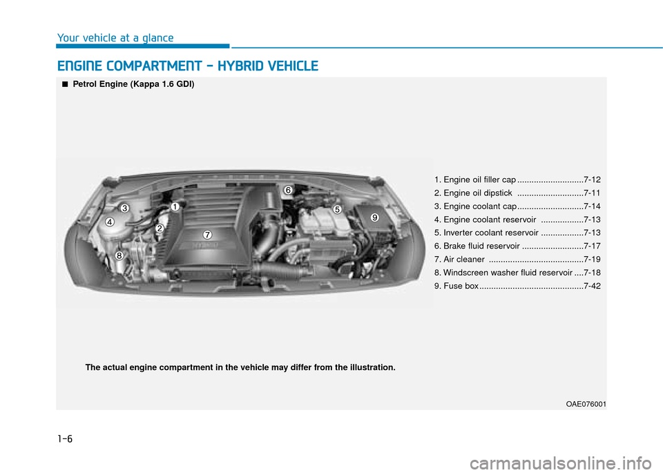 Hyundai Ioniq Plug-in Hybrid 2019   - RHD (UK, Australia) Manual PDF 1-6
Your vehicle at a glance
E
EN
N G
GI
IN
N E
E 
 C
C O
O M
M P
PA
A R
RT
TM
M E
EN
N T
T 
 -
-  
 H
H Y
Y B
BR
RI
ID
D  
 V
V E
EH
H I
IC
C L
LE
E
OAE076001
■
■Petrol Engine (Kappa 1.6 GDI)
1. 
