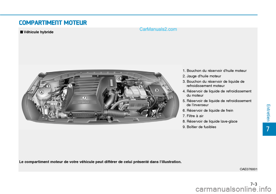 Hyundai Ioniq Plug-in Hybrid 2019  Manuel du propriétaire (in French) 7-3
7
Entretien
COMPARTIMENT MOTEUR
1. Bouchon du réservoir dhuile moteur 
2. Jauge dhuile moteur
3. Bouchon du réservoir de liquide de
refroidissement moteur 
4. Réservoir de liquide de refroidi