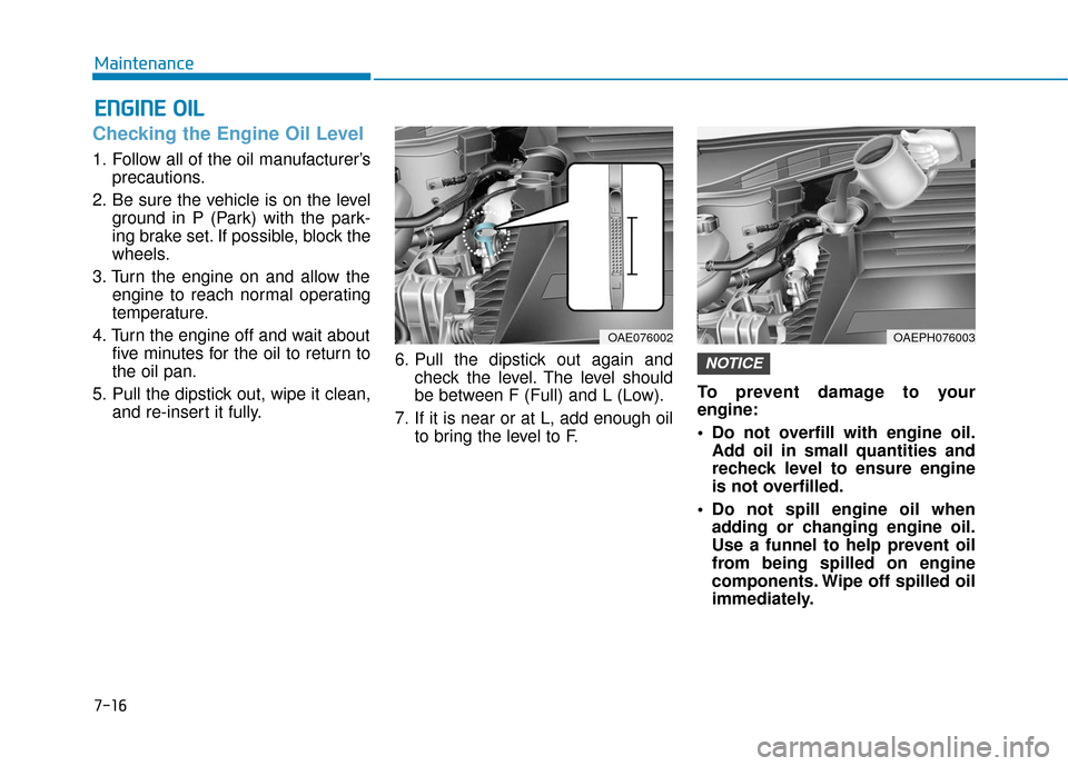 Hyundai Ioniq Plug-in Hybrid 2018 Owners Manual 7-16
Maintenance
E
EN
N G
GI
IN
N E
E
O
O I
IL
L
Checking the Engine Oil Level
1. Follow all of the oil manufacturer’s
precautions.
2. Be sure the vehicle is on the level ground in P (Park) with Hyundai Ioniq Plug-in Hybrid 2018 Owners Manual 7-16
Maintenance
E
EN
N G
GI
IN
N E
E
O
O I
IL
L
Checking the Engine Oil Level
1. Follow all of the oil manufacturer’s
precautions.
2. Be sure the vehicle is on the level ground in P (Park) with