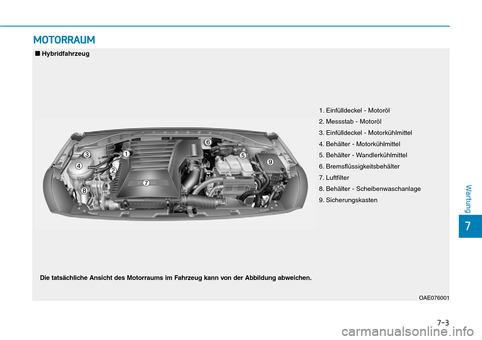 Hyundai Ioniq Plug-in Hybrid 2018 Betriebsanleitung (in German) 7-3
7
Wartung
MOTORRAUM
1. Einfülldeckel - Motoröl
2. Messstab - Motoröl
3. Einfülldeckel - Motorkühlmittel
4. Behälter - Motorkühlmittel
5. Behälter - Wandlerkühlmittel
6. Bremsflüssigkeits Hyundai Ioniq Plug-in Hybrid 2018 Betriebsanleitung (in German) 7-3
7
Wartung
MOTORRAUM
1. Einfülldeckel - Motoröl
2. Messstab - Motoröl
3. Einfülldeckel - Motorkühlmittel
4. Behälter - Motorkühlmittel
5. Behälter - Wandlerkühlmittel
6. Bremsflüssigkeits