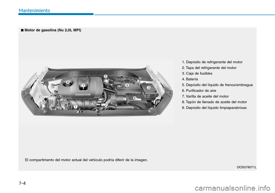 Hyundai Kona 2019 Manual del propietario (in Spanish) 7-4
Mantenimiento
1. Depósito de refrigerante del motor
2. Tapa del refrigerante del motor
3. Caja de fusibles
4. Batería
5. Depósito del líquido de frenos/embrague
6. Purificador de aire
7. V Hyundai Kona 2019 Manual del propietario (in Spanish) 7-4
Mantenimiento
1. Depósito de refrigerante del motor
2. Tapa del refrigerante del motor
3. Caja de fusibles
4. Batería
5. Depósito del líquido de frenos/embrague
6. Purificador de aire
7. V
