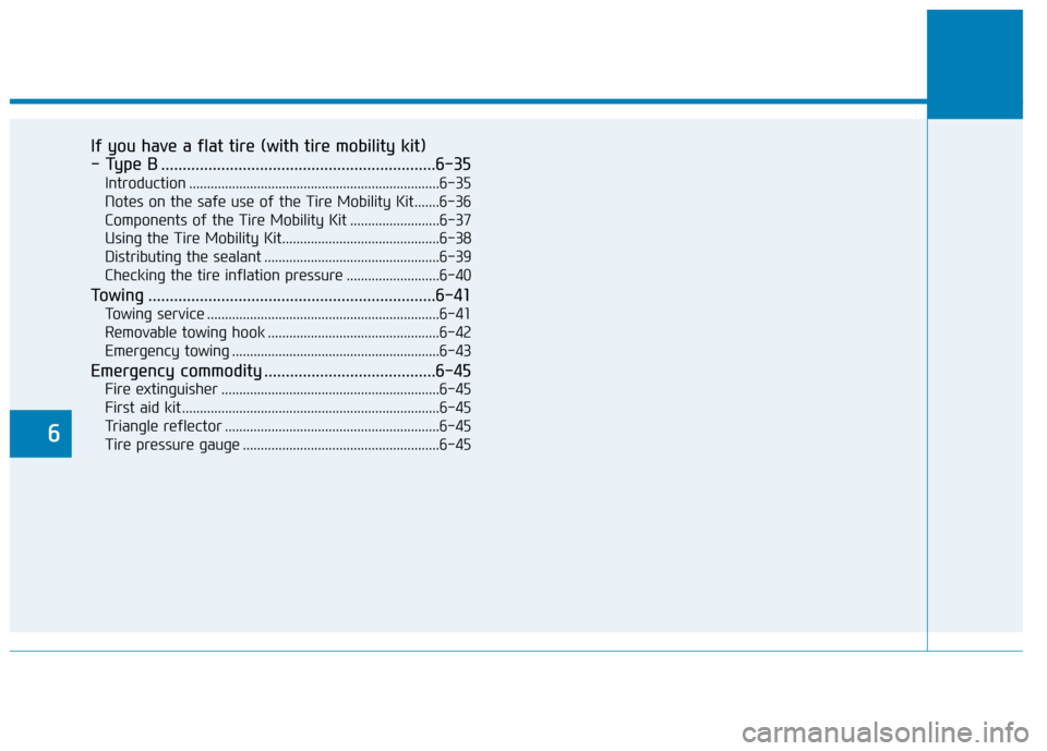 Hyundai Kona 2018  Owners Manual If you have a flat tire (with tire mobility kit)  
- Type B ................................................................6-35Introduction ...........................................................