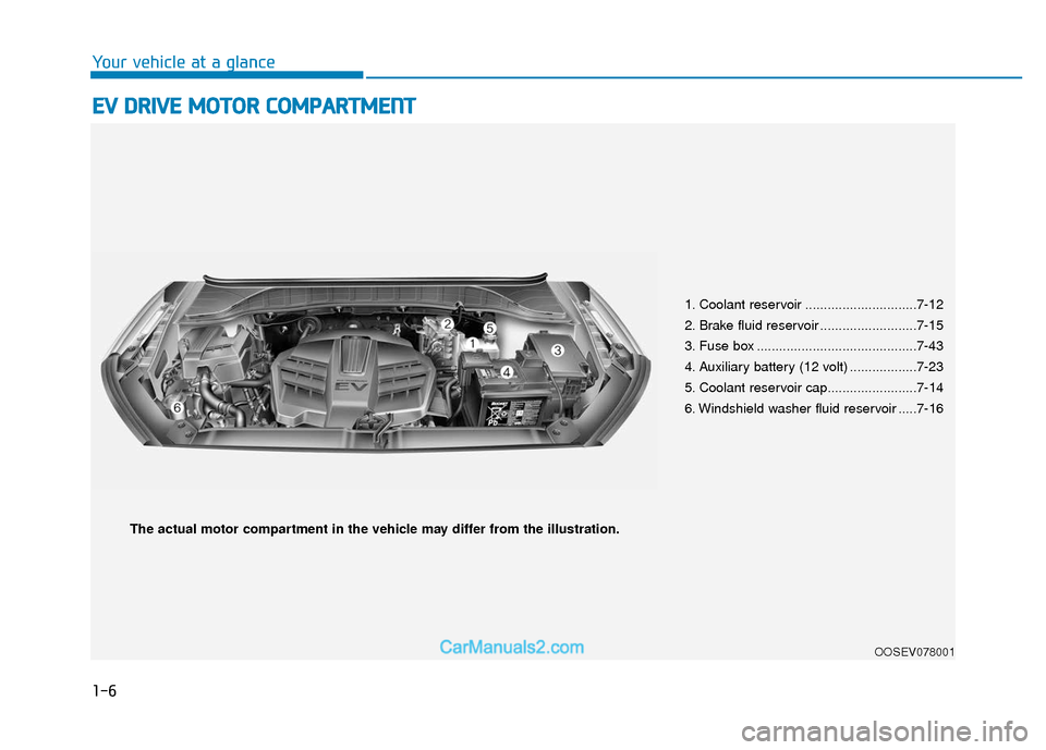 Hyundai Kona EV 2019  Owners Manual 1-6
Your vehicle at a glance
E
EV
V  
 D
D R
RI
IV
V E
E 
 M
M O
OT
TO
O R
R 
 C
C O
O M
M P
PA
A R
RT
TM
M E
EN
N T
T
1. Coolant reservoir ..............................7-12
2. Brake fluid reservoir 