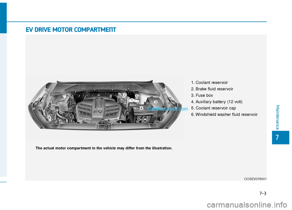 Hyundai Kona EV 2019  Owners Manual 7-3
7
Maintenance
E
EV
V  
 D
D R
RI
IV
V E
E 
 M
M O
OT
TO
O R
R 
 C
C O
O M
M P
PA
A R
RT
TM
M E
EN
N T
T 
 
1. Coolant reservoir
2. Brake fluid reservoir
3. Fuse box
4. Auxiliary battery (12 volt) 