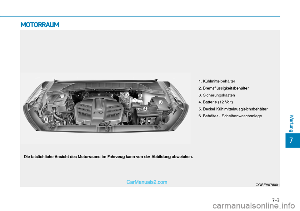 Hyundai Kona EV 2019 Betriebsanleitung (in German) 7-3
7
Wartung
MOTORRAUM
1. Kühlmittelbehälter
2. Bremsflüssigkeitsbehälter
3. Sicherungskasten
4. Batterie (12 Volt)
5. Deckel Kühlmittelausgleichsbehälter
6. Behälter - Scheibenwaschanlage
OOS Hyundai Kona EV 2019 Betriebsanleitung (in German) 7-3
7
Wartung
MOTORRAUM
1. Kühlmittelbehälter
2. Bremsflüssigkeitsbehälter
3. Sicherungskasten
4. Batterie (12 Volt)
5. Deckel Kühlmittelausgleichsbehälter
6. Behälter - Scheibenwaschanlage
OOS
