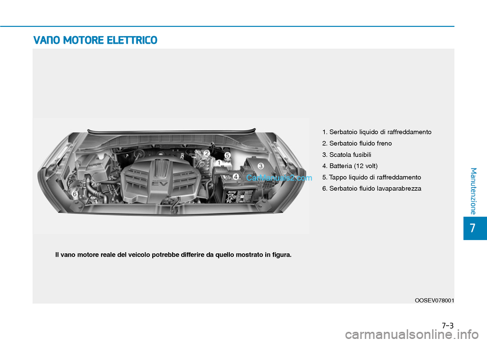 Hyundai Kona EV 2019 Manuale del proprietario (in Italian) 7-3
7
Manutenzione
VANO MOTORE ELETTRICO
1. Serbatoio liquido di raffreddamento
2. Serbatoio fluido freno
3. Scatola fusibili
4. Batteria (12 volt)
5. Tappo liquido di raffreddamento
6. Serbatoio flui Hyundai Kona EV 2019 Manuale del proprietario (in Italian) 7-3
7
Manutenzione
VANO MOTORE ELETTRICO
1. Serbatoio liquido di raffreddamento
2. Serbatoio fluido freno
3. Scatola fusibili
4. Batteria (12 volt)
5. Tappo liquido di raffreddamento
6. Serbatoio flui