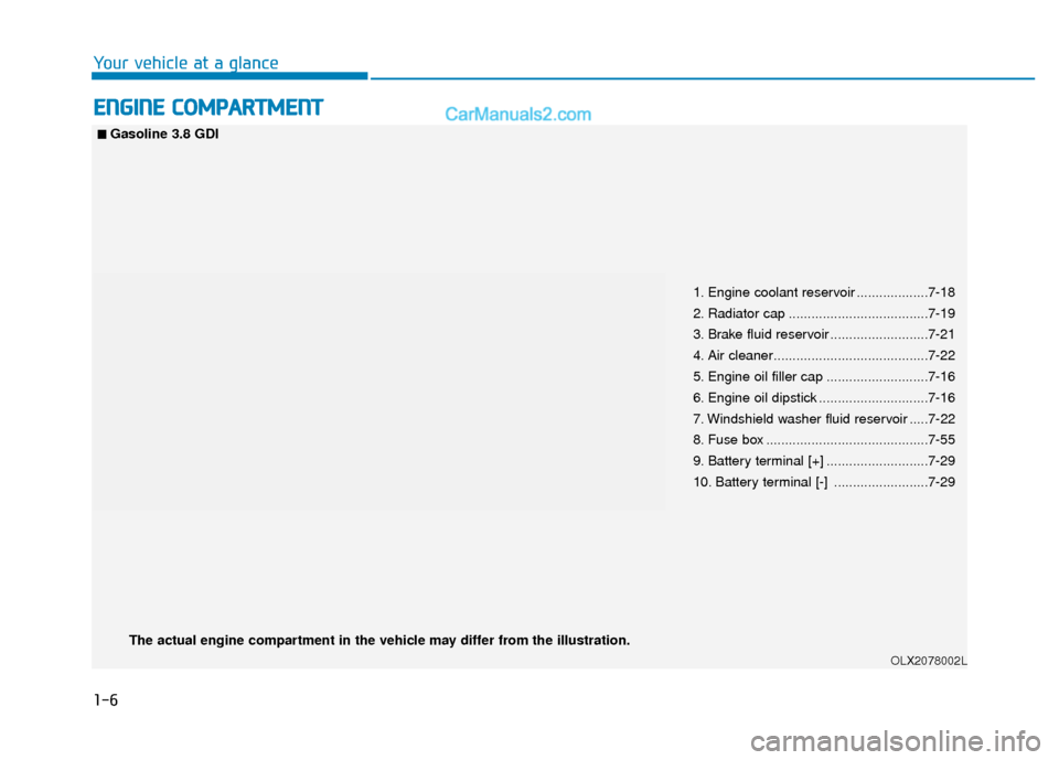 Hyundai Palisade 2020 User Guide 1-6
Your vehicle at a glance
E
EN
N G
GI
IN
N E
E 
 C
C O
O M
M P
PA
A R
RT
TM
M E
EN
N T
T
1. Engine coolant reservoir ...................7-18
2. Radiator cap .....................................7-1