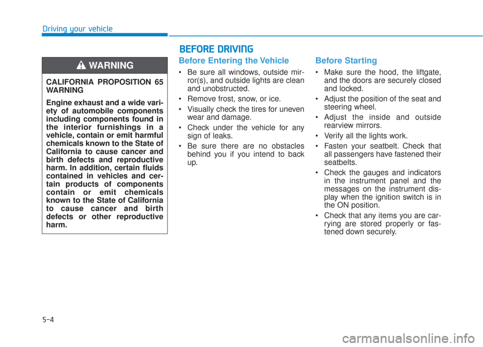 Hyundai Santa Fe 2019  Owners Manual 5-4
Driving your vehicle
Before Entering the Vehicle
• Be sure all windows, outside mir-ror(s), and outside lights are clean
and unobstructed.
 Remove frost, snow, or ice.
 Visually check the tires 