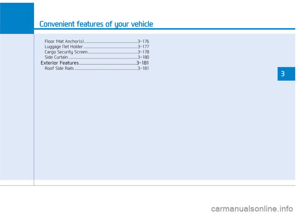 Hyundai Santa Fe 2019  Owners Manual Convenient features of your vehicle
Floor Mat Anchor(s).....................................................3-176
Luggage Net Holder .....................................................3-177
Cargo Se