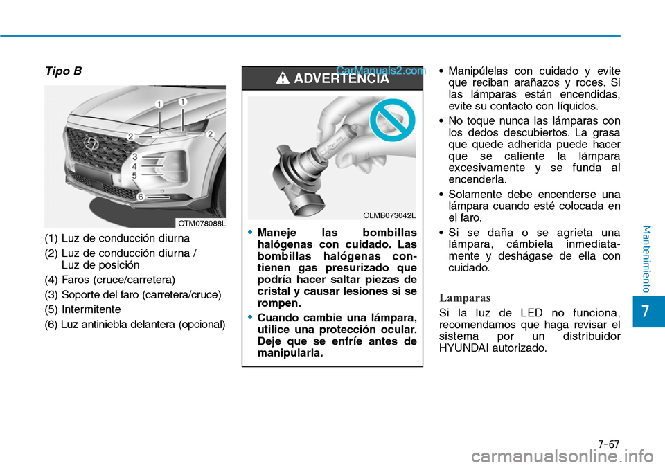 Hyundai Santa Fe 2019 Manual del propietario (in Spanish) 7-67
7
Mantenimiento
Tipo B
(1) Luz de conducción diurna
(2) Luz de conducción diurna /
Luz de posición
(4) Faros (cruce/carretera)
(3) Soporte del faro (carretera/cruce)
(5) Intermitente
(6) Luz Hyundai Santa Fe 2019 Manual del propietario (in Spanish) 7-67
7
Mantenimiento
Tipo B
(1) Luz de conducción diurna
(2) Luz de conducción diurna /
Luz de posición
(4) Faros (cruce/carretera)
(3) Soporte del faro (carretera/cruce)
(5) Intermitente
(6) Luz