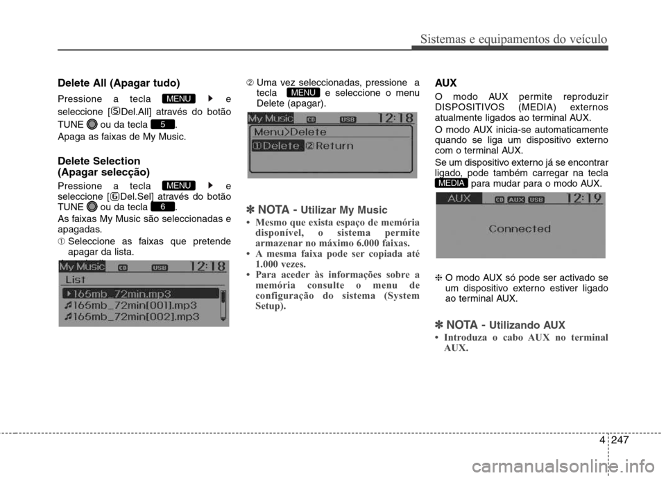 Hyundai Santa Fe 2013  Manual do proprietário (in Portuguese) 4247
Sistemas e equipamentos do veículo
Delete All (Apagar tudo) 
Pressione a tecla  e 
seleccione [ Del.All] através do botão
TUNE  ou da tecla  . 
Apaga as faixas de My Music. Delete Selection  
