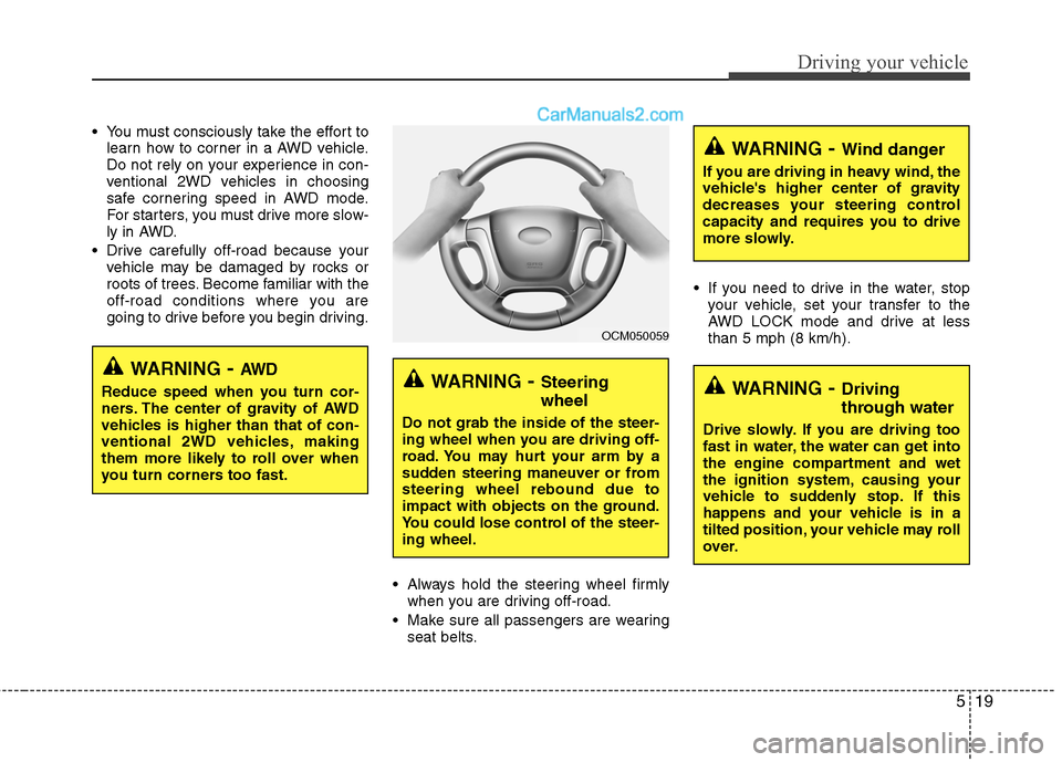 Hyundai Santa Fe 2010  Owners Manual 
519
Driving your vehicle
 You must consciously take the effort tolearn how to corner in a AWD vehicle.
Do not rely on your experience in con-
ventional 2WD vehicles in choosing
safe cornering speed i