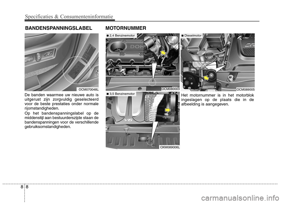 Hyundai Santa Fe 2010  Handleiding (in Dutch) Specificaties & Consumenteninformatie
8
8
De banden waarmee uw nieuwe auto is 
uitgerust zijn zorgvuldig geselecteerd
voor de beste prestaties onder normale
rijomstandigheden. Op het bandenspanningsla