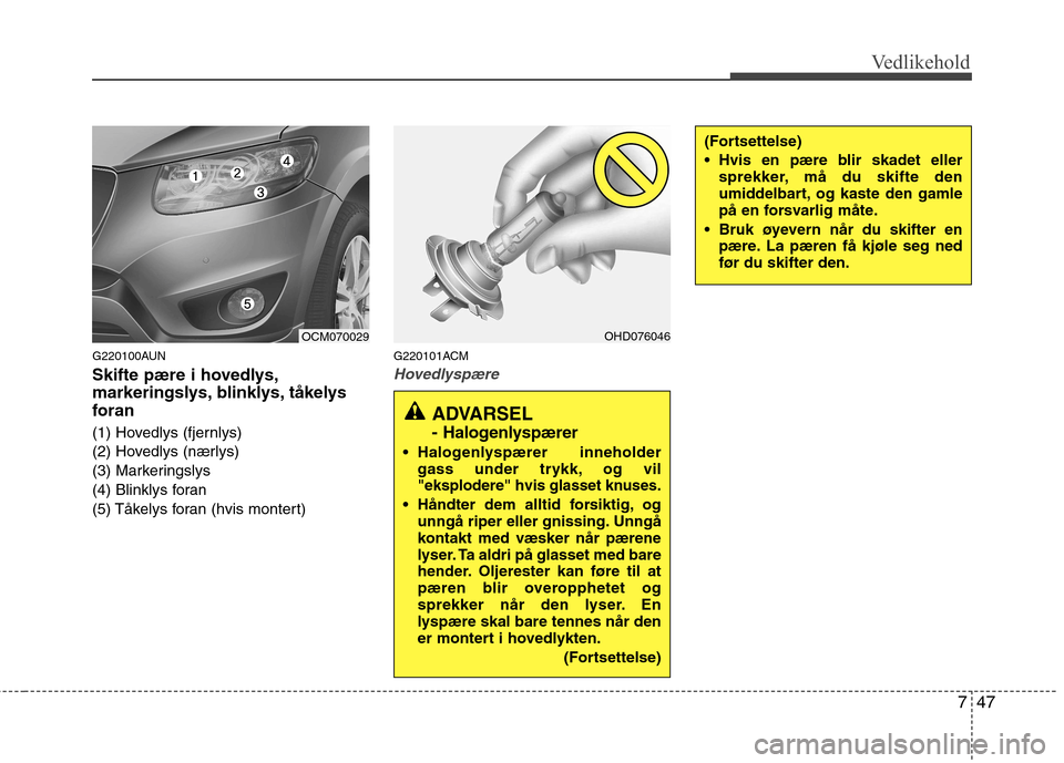 Hyundai Santa Fe 2010 Brukerhåndbok (in Norwegian) 747
Vedlikehold
ADVARSEL -
Halogenlyspærer
Halogenlyspærer inneholdergass under trykk, og vil
"eksplodere" hvis glasset knuses.
Håndter dem alltid forsiktig, ogunngå riper eller gnissing. Unng Hyundai Santa Fe 2010 Brukerhåndbok (in Norwegian) 747
Vedlikehold
ADVARSEL -
Halogenlyspærer
Halogenlyspærer inneholdergass under trykk, og vil
"eksplodere" hvis glasset knuses.
Håndter dem alltid forsiktig, ogunngå riper eller gnissing. Unng