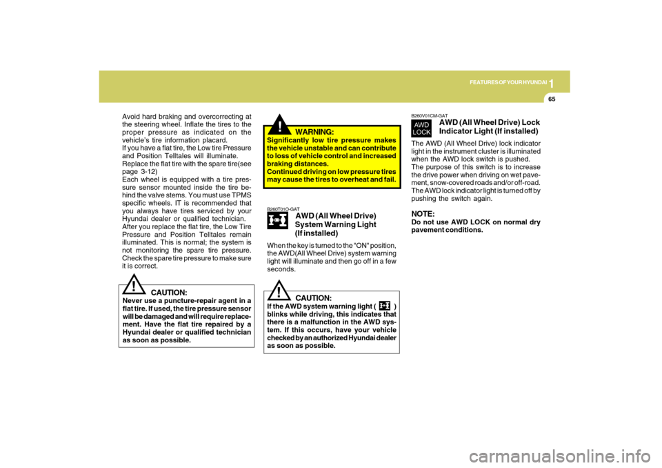 Hyundai Santa Fe 2009  Owners Manual 1
FEATURES OF YOUR HYUNDAI
65
!
WARNING:
Significantly low tire pressure makes
the vehicle unstable and can contribute
to loss of vehicle control and increased
braking distances.
Continued driving on 