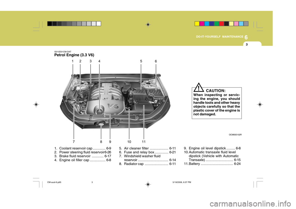 Hyundai Santa Fe 2009 Owners Manual - RHD (UK, Australia) 6
DO-IT-YOURSELF MAINTENANCE
3
G010D01CM-DAT
Petrol Engine (3.3 V6)
CAUTION:
When inspecting or servic- ing the engine, you shouldhandle tools and other heavy objects carefully so that the plastic cov Hyundai Santa Fe 2009 Owners Manual - RHD (UK, Australia) 6
DO-IT-YOURSELF MAINTENANCE
3
G010D01CM-DAT
Petrol Engine (3.3 V6)
CAUTION:
When inspecting or servic- ing the engine, you shouldhandle tools and other heavy objects carefully so that the plastic cov
