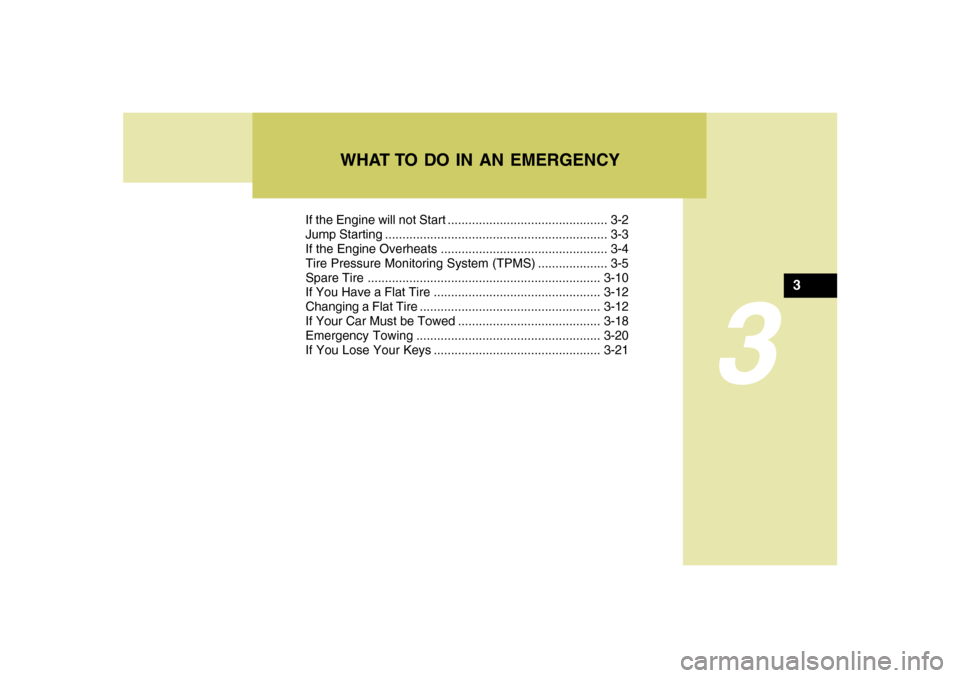 Hyundai Santa Fe 2008  Owners Manual If the Engine will not Start .............................................. 3-2
Jump Starting ................................................................ 3-3
If the Engine Overheats .............