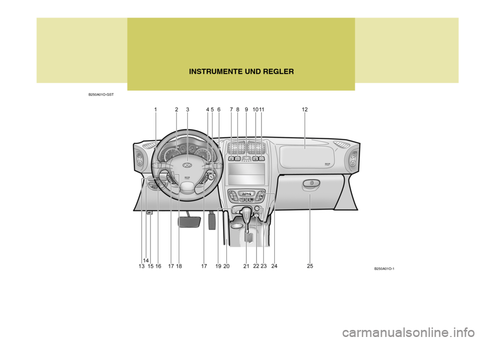 Hyundai Santa Fe 2005  Betriebsanleitung (in German) INSTRUMENTE UND REGLER
B250A01O-GST
B250A01O-1  