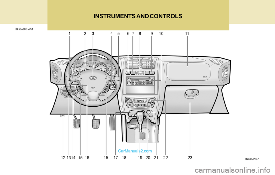 Hyundai Santa Fe 2004 User Guide INSTRUMENTS AND CONTROLS
B250A03O-AAT
B250A01O-1    