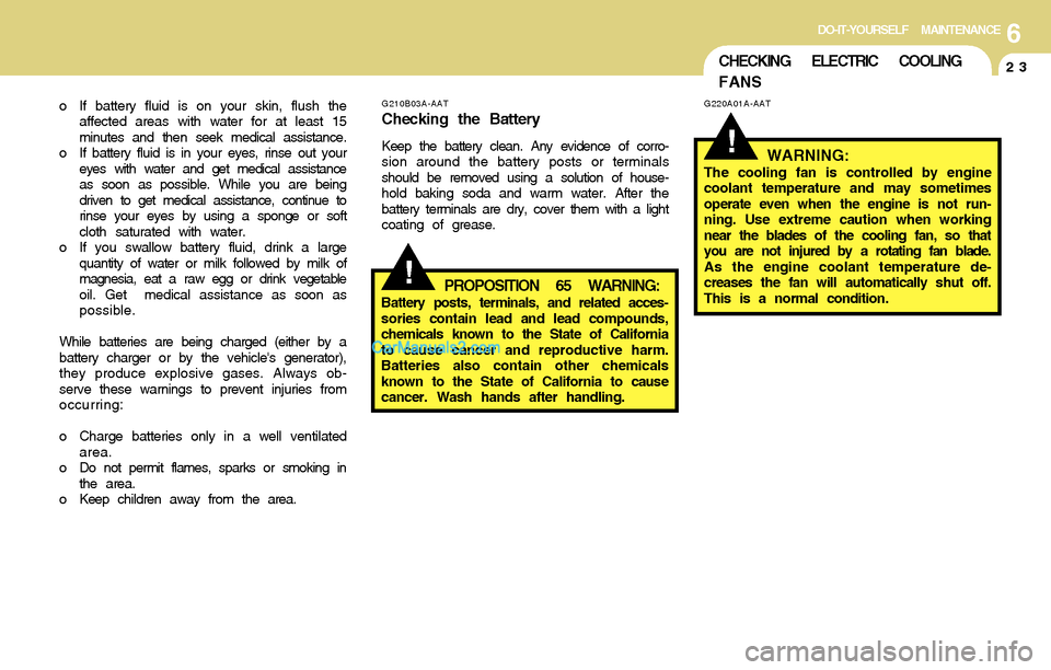 Hyundai Santa Fe 2004  Owners Manual 6DO-IT-YOURSELF MAINTENANCE
23CHECKING ELECTRIC COOLING
FANS
!
!
G220A01A-AAT
WARNING:The cooling fan is controlled by engine
coolant temperature and may sometimes
operate even when the engine is not 