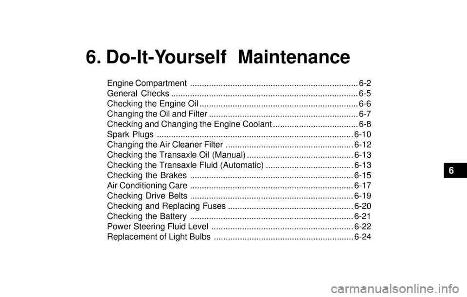 Hyundai Santa Fe 2003  Owners Manual 6. Do-It-Yourself Maintenance
Engine Compartment ....................................................................... 6-2
General Checks ............................................................