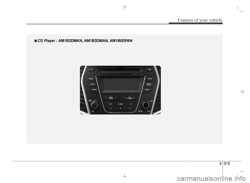 Hyundai Santa Fe Sport 2016  Owners Manual 4315
Features of your vehicle
■
■ 
 CD Player : AM1B2DMKN, AM1B3DMAN, AM1B0DPAN
AN HMA 4D (303~AUDIO 1).QXP  6/9/2015  4:25 PM  Page 315 