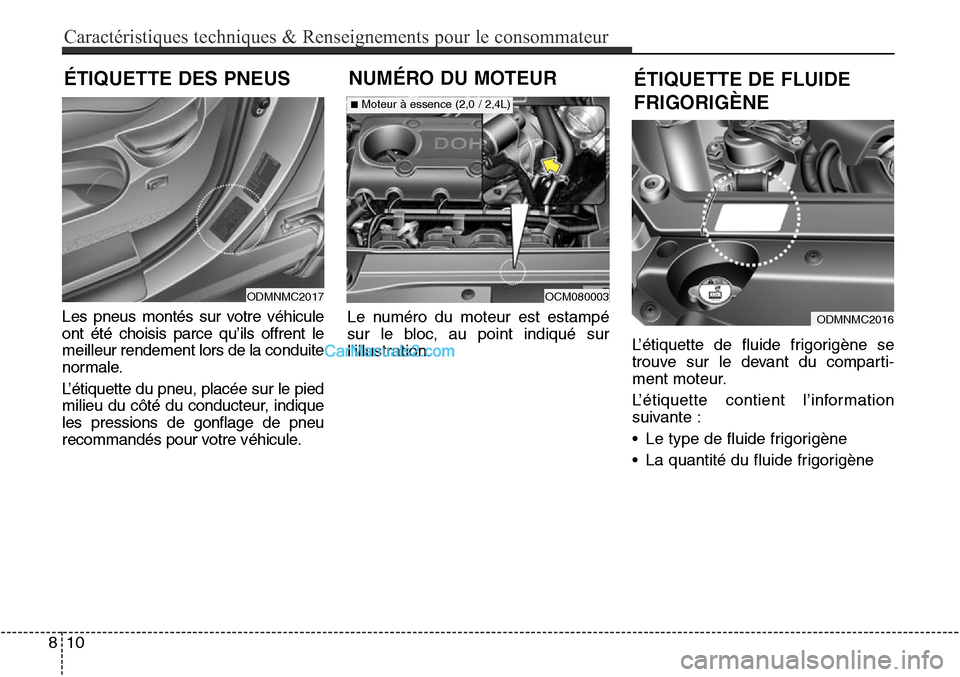 Hyundai Santa Fe Sport 2015  Manuel du propriétaire (in French) ÉTIQUETTE DES PNEUS
810
Caractéristiques techniques & Renseignements pour le consommateur
Les pneus montés sur votre véhicule
ont été choisis parce qu’ils offrent le
meilleur rendement lors de