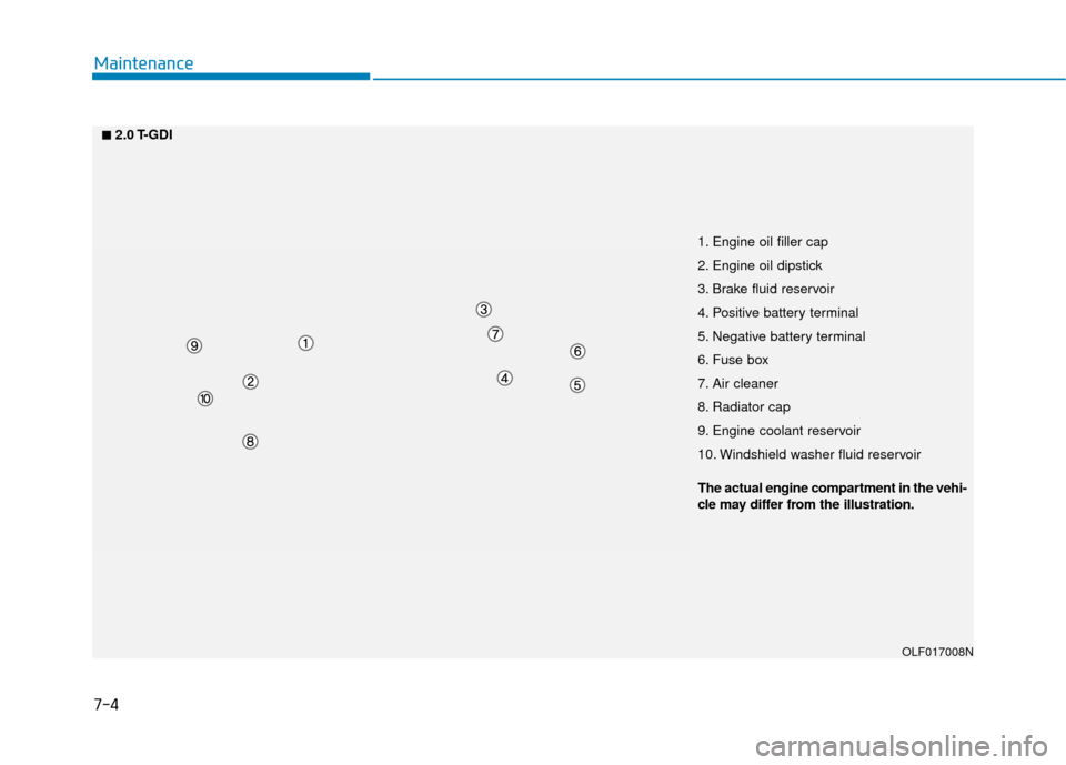 Hyundai Sonata 2019  Owners Manual 7-4
Maintenance
■
■2.0 T-GDI1. Engine oil filler cap
2. Engine oil dipstick
3. Brake fluid reservoir
4. Positive battery terminal
5. Negative battery terminal
6. Fuse box
7. Air cleaner
8. Radiato